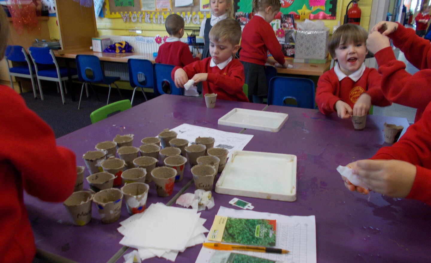 Image of Growing Cress!